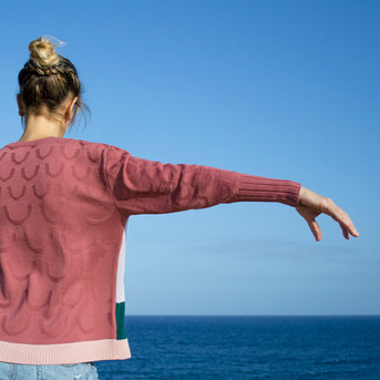Jersey Pájaro ciruela. Diseño de Trol: marca española de moda sostenible con mucho Color.