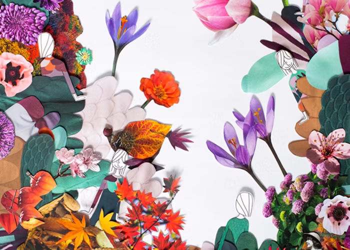 colección BOTANE